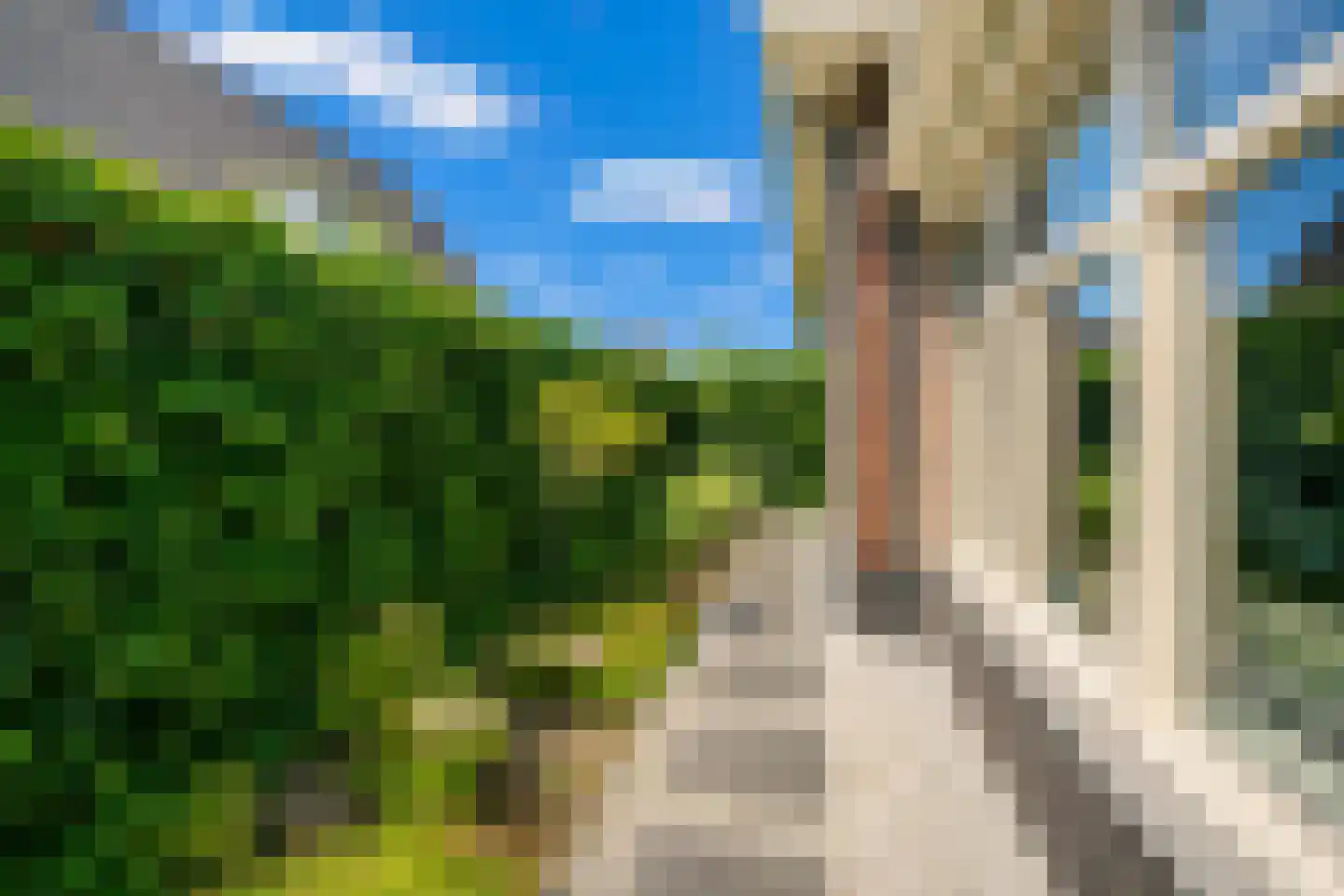 Kamperfoeliestraat 30 's-Gravenpolder thumbnail 23