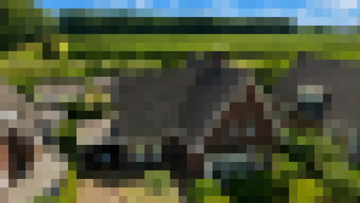 Kamperfoeliestraat 30 's-Gravenpolder thumbnail 61