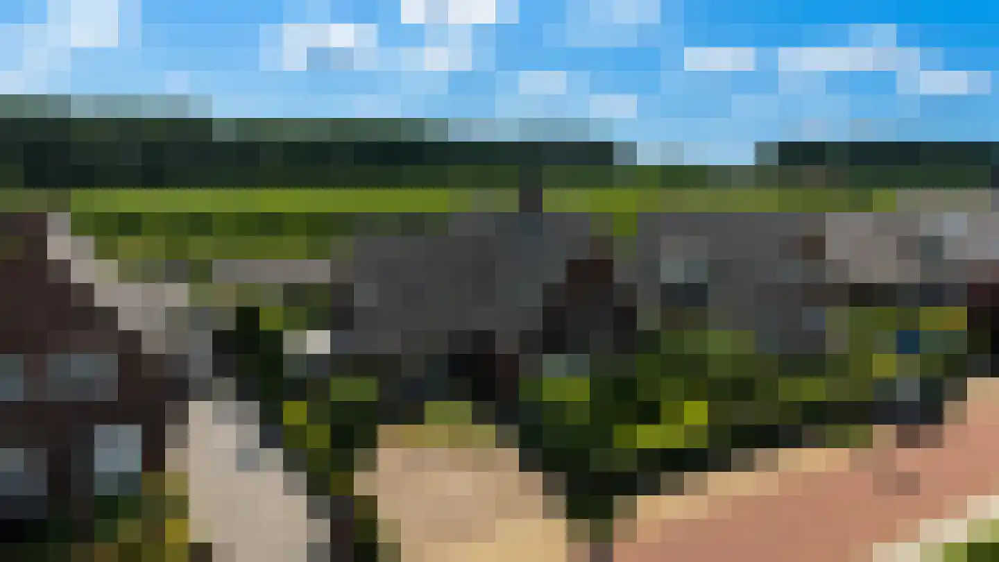 Kamperfoeliestraat 30 's-Gravenpolder thumbnail 65
