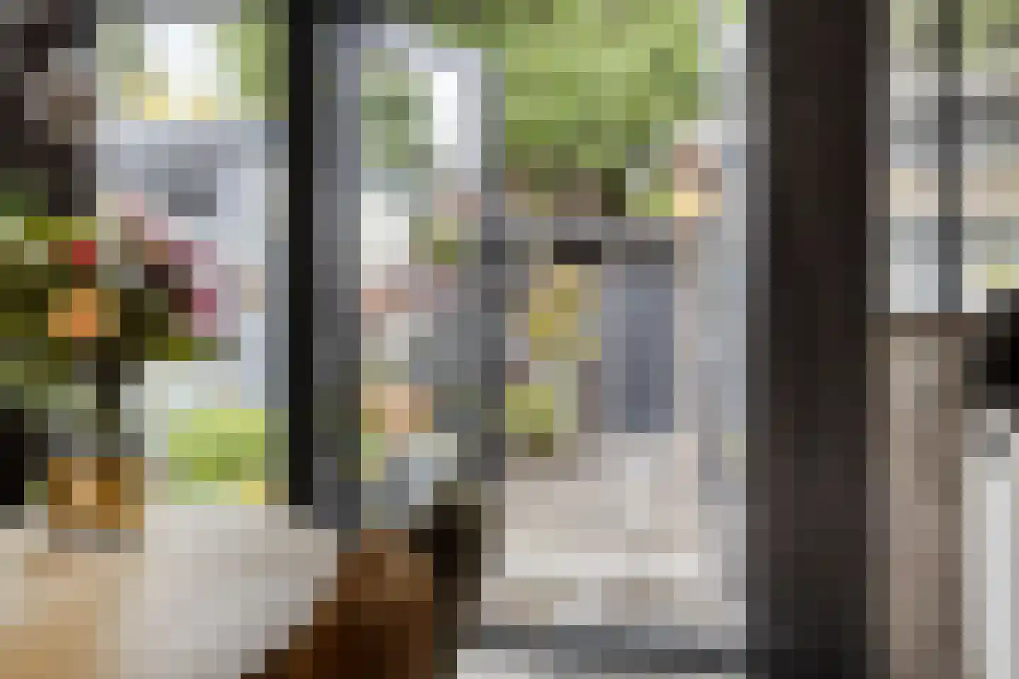 Kamperfoeliestraat 30 Waalwijk thumbnail 15