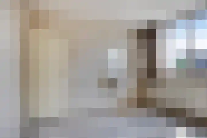 Kamperfoeliestraat 32 Rosmalen thumbnail 16