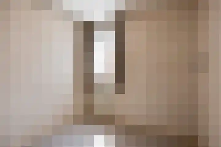 Kamperfoeliestraat 32 Rosmalen thumbnail 20