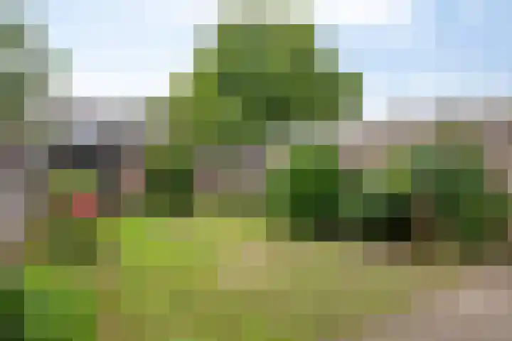 Kamperfoeliestraat 32 Rosmalen thumbnail 22