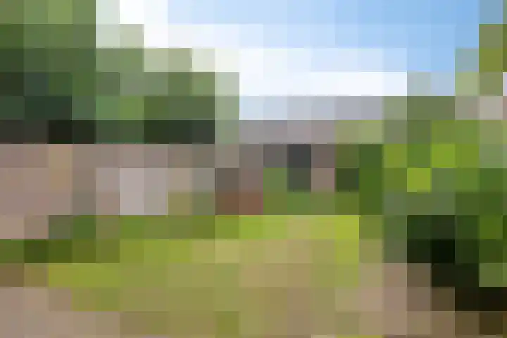 Kamperfoeliestraat 32 Rosmalen thumbnail 24