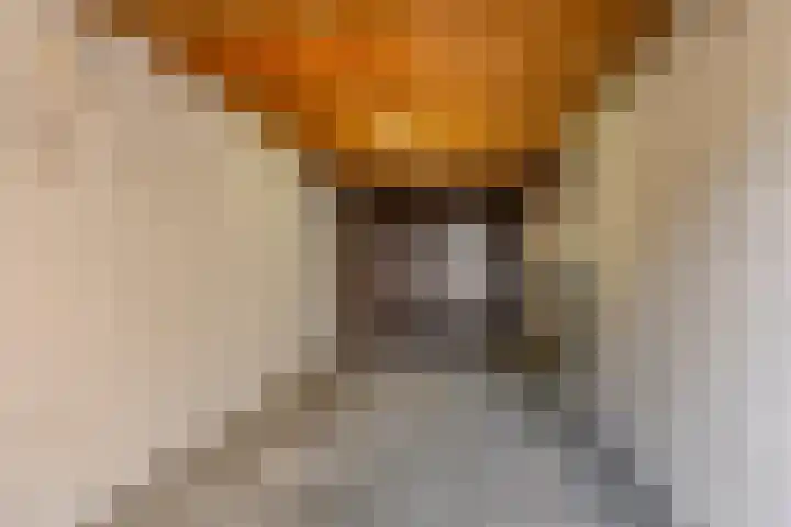 Kamperfoeliestraat 32 Rosmalen thumbnail 26