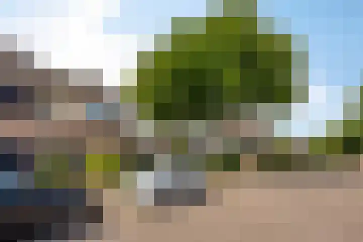 Kamperfoeliestraat 32 Rosmalen thumbnail 27