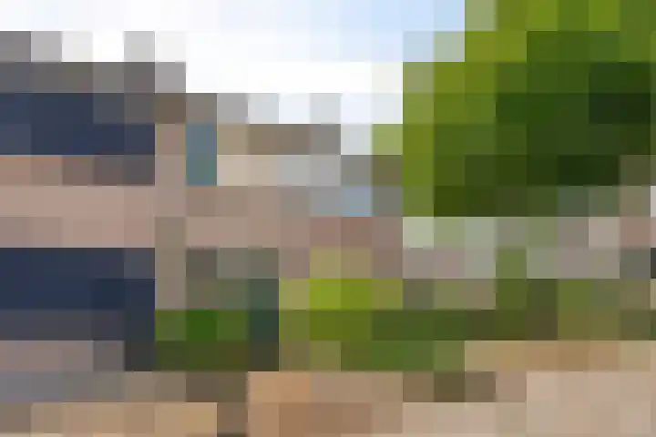 Kamperfoeliestraat 32 Rosmalen thumbnail 28