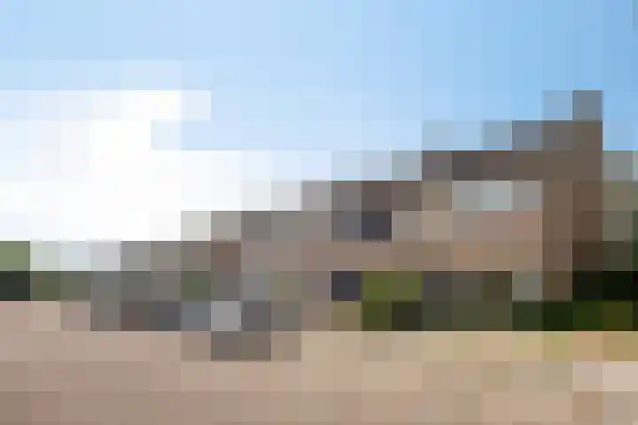 Kamperfoeliestraat 32 Rosmalen thumbnail 29