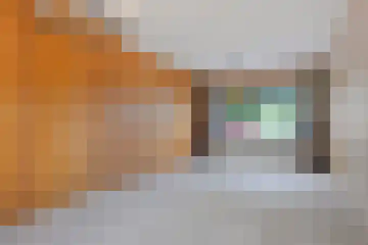 Kamperfoeliestraat 32 Rosmalen thumbnail 8