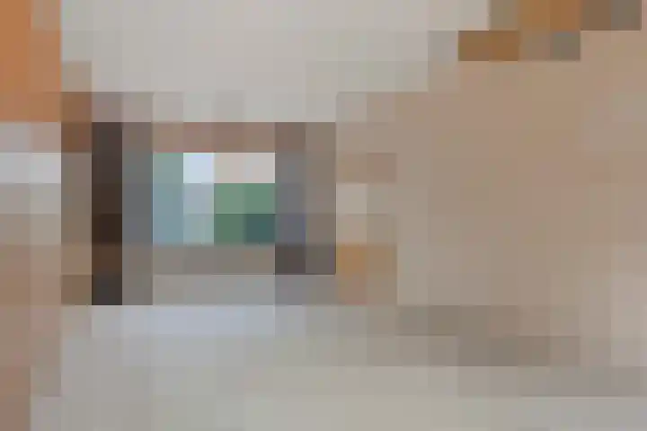 Kamperfoeliestraat 32 Rosmalen thumbnail 9