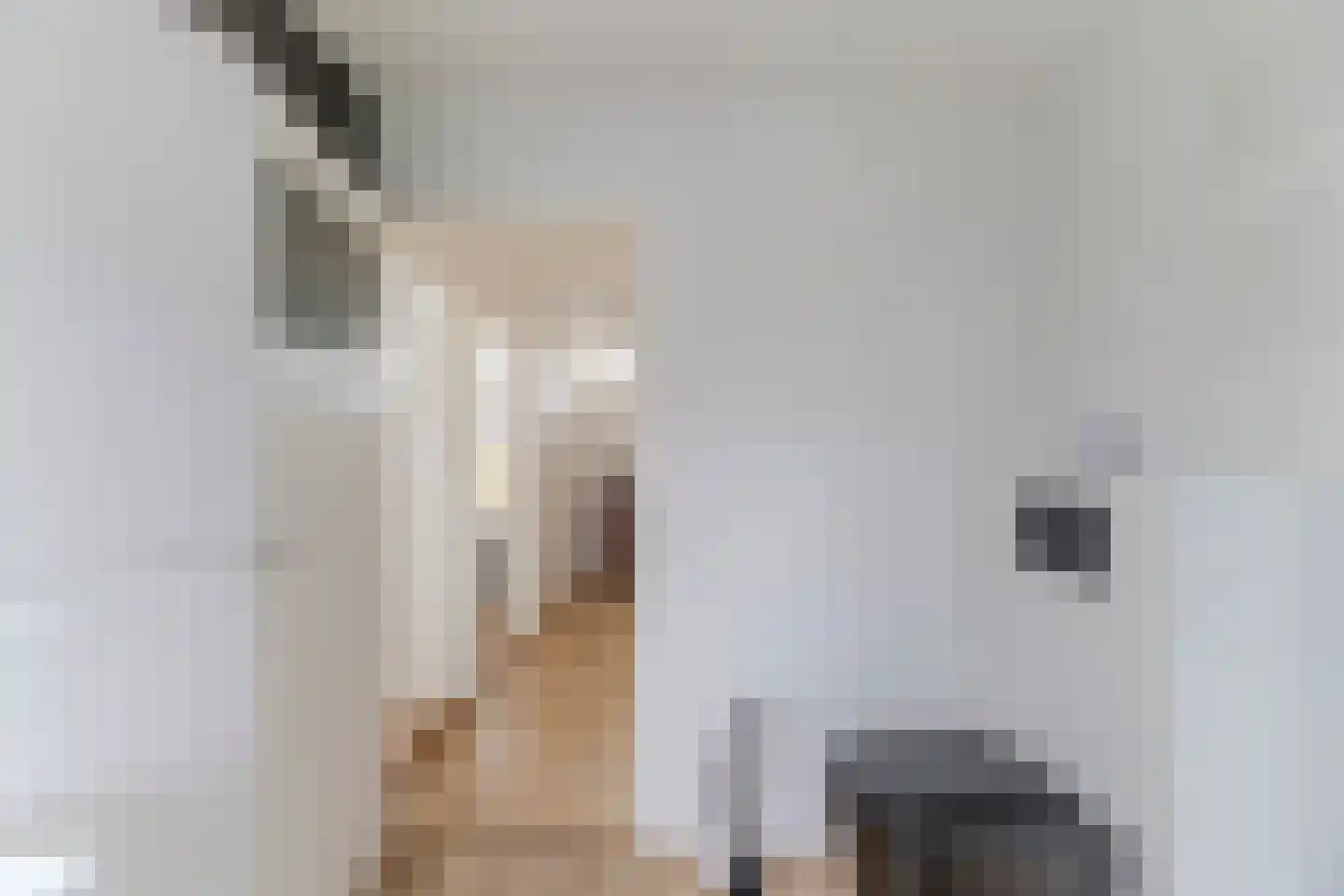 Kamperfoeliestraat 34 Breda thumbnail 19