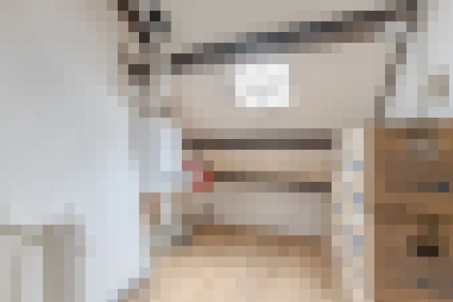 Kamperfoeliestraat 34 Breda thumbnail 23
