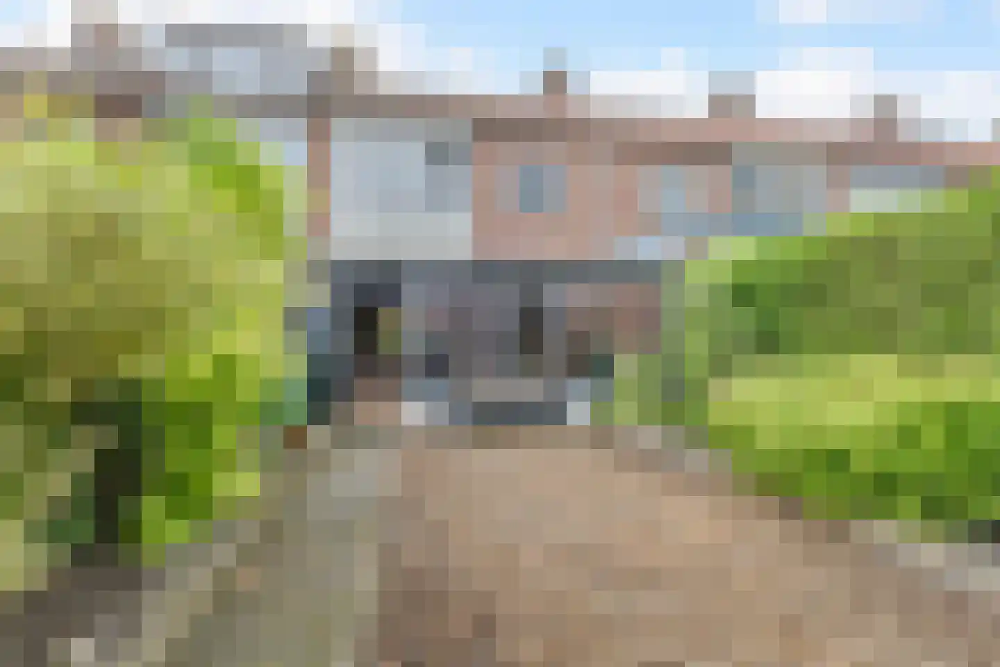 Kamperfoeliestraat 34 Breda thumbnail 24