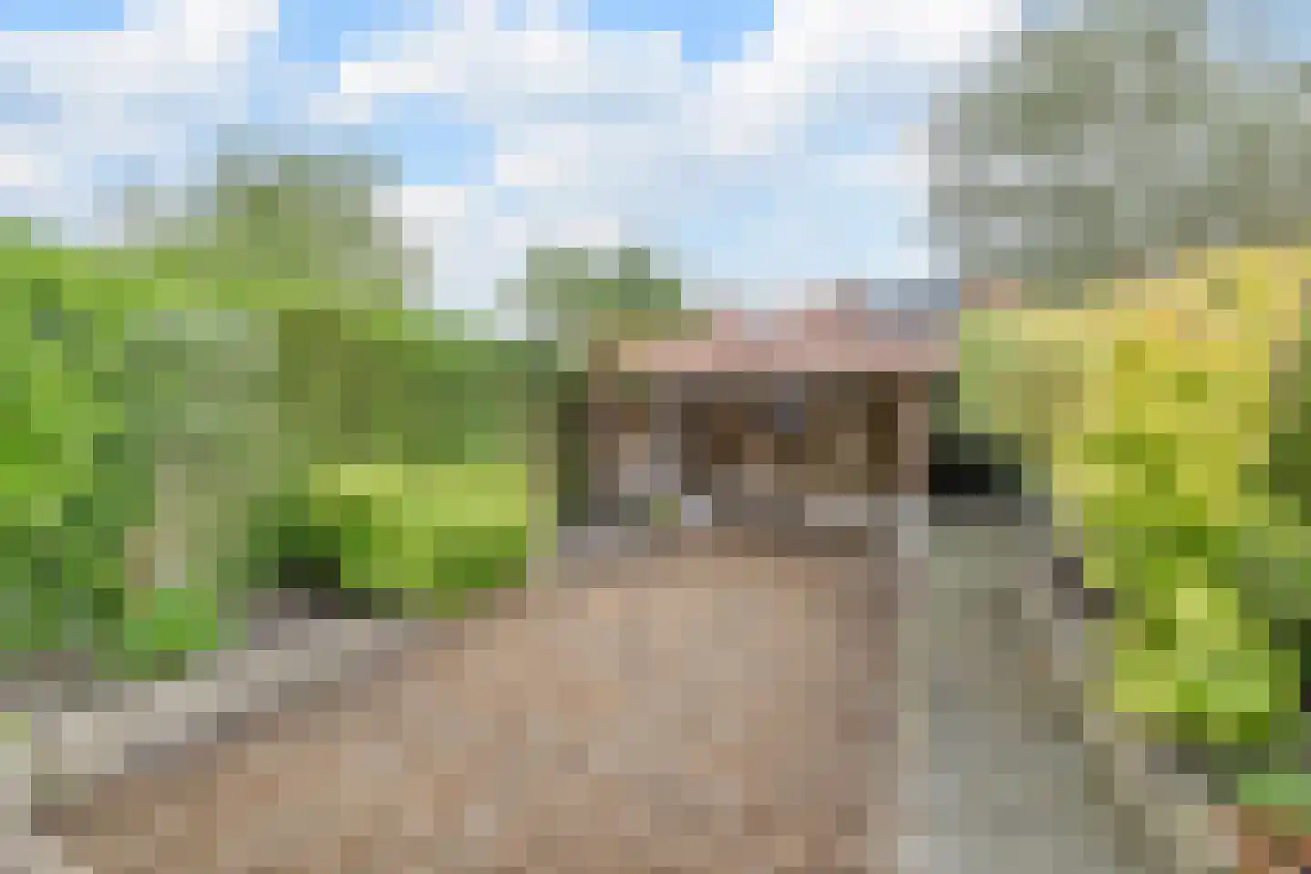 Kamperfoeliestraat 34 Breda thumbnail 27