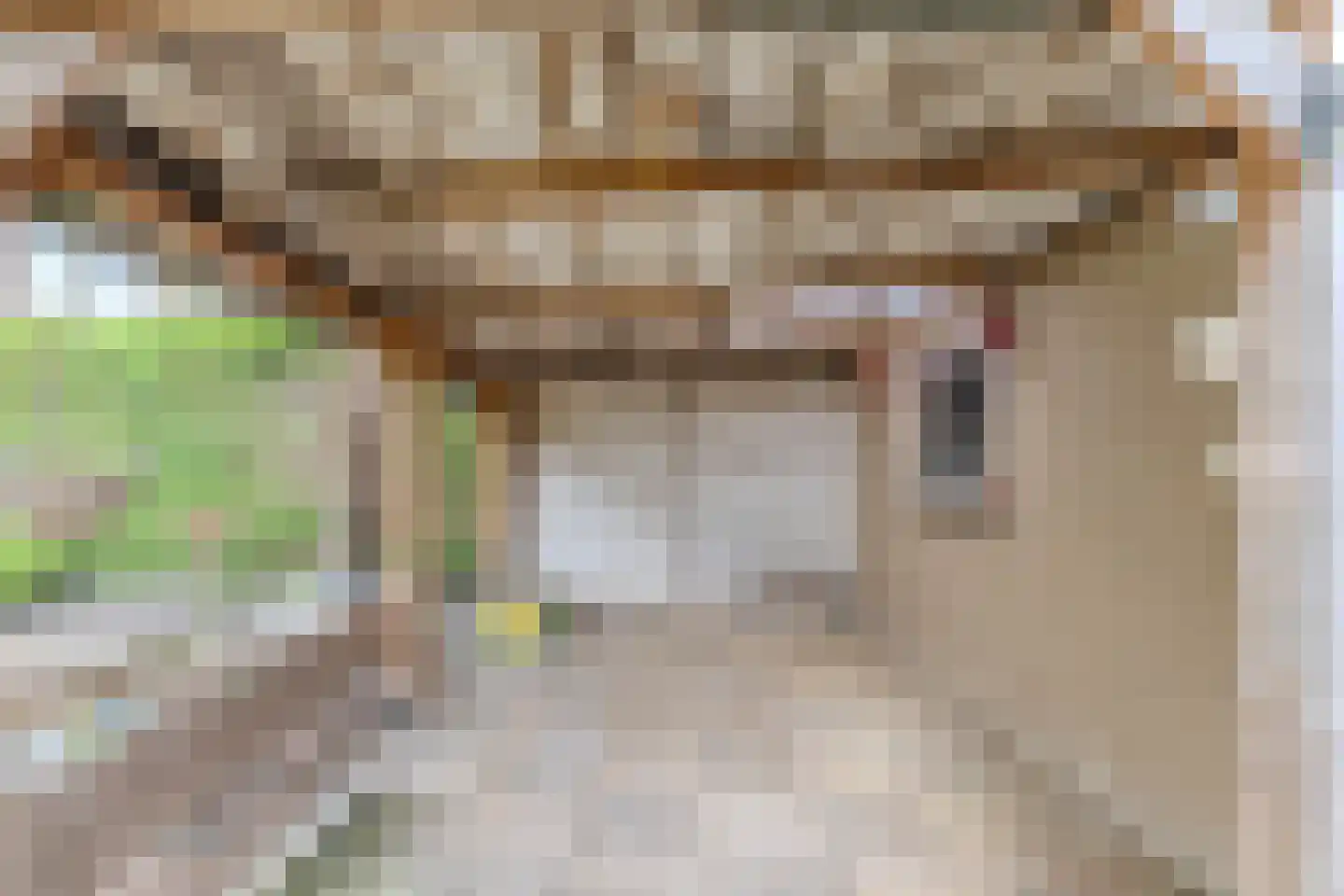 Kamperfoeliestraat 34 Breda thumbnail 28
