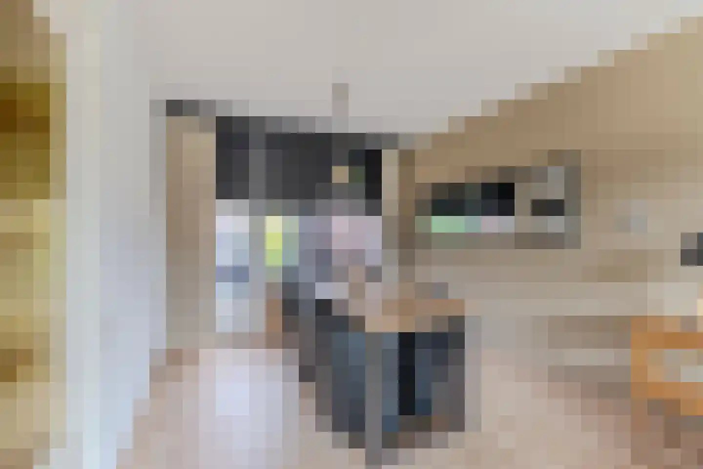 Kamperfoeliestraat 34 Breda thumbnail 5