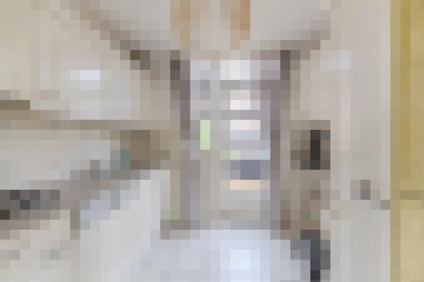 Kamperfoeliestraat 34 Breda thumbnail 6