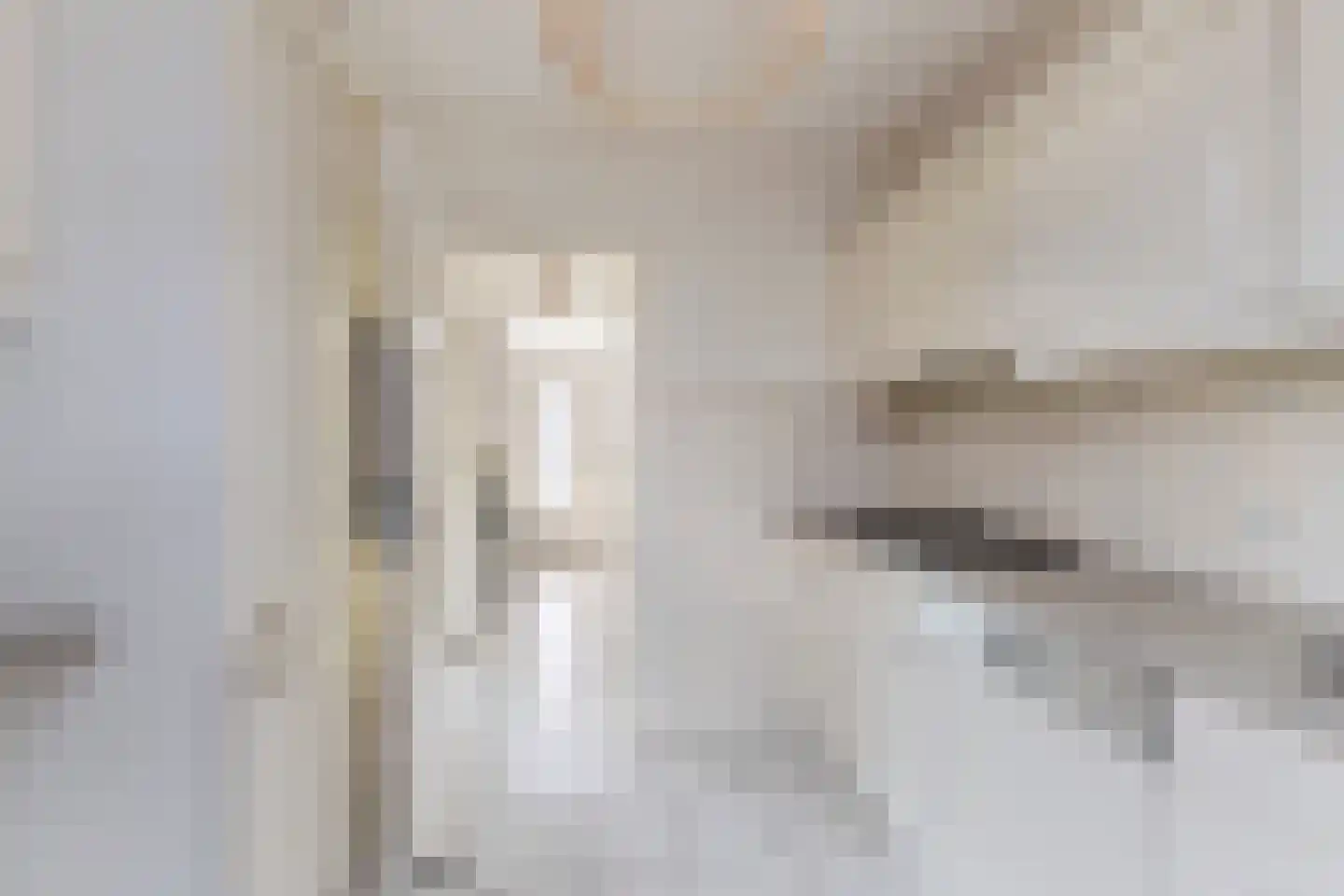 Kamperfoeliestraat 34 Breda thumbnail 8
