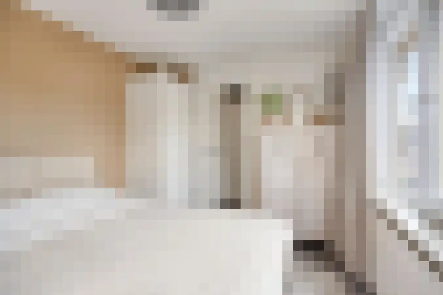 Kamperfoeliestraat 35 Hengelo thumbnail 20