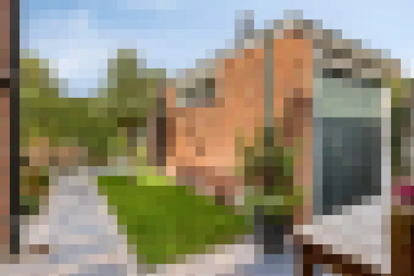 Kamperfoeliestraat 35 Hengelo thumbnail 25