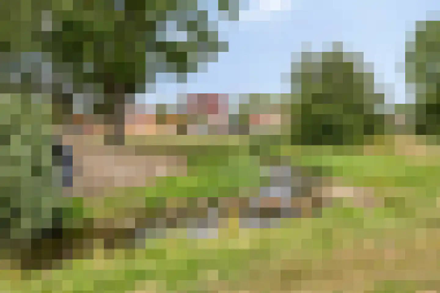 Kamperfoeliestraat 35 Hengelo thumbnail 31