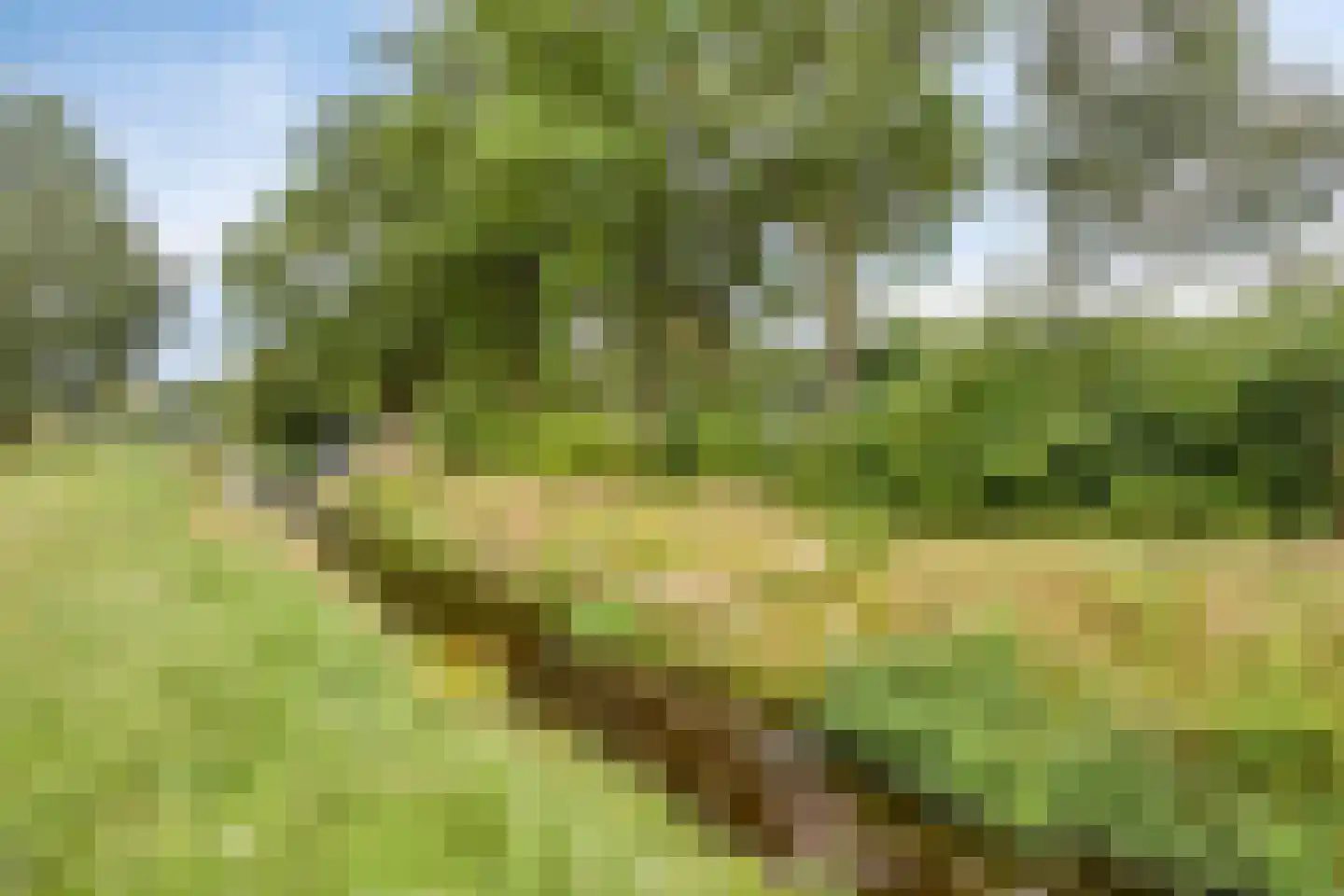 Kamperfoeliestraat 35 Hengelo thumbnail 32