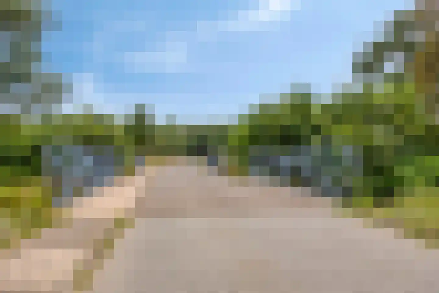Kamperfoeliestraat 35 Hengelo thumbnail 33