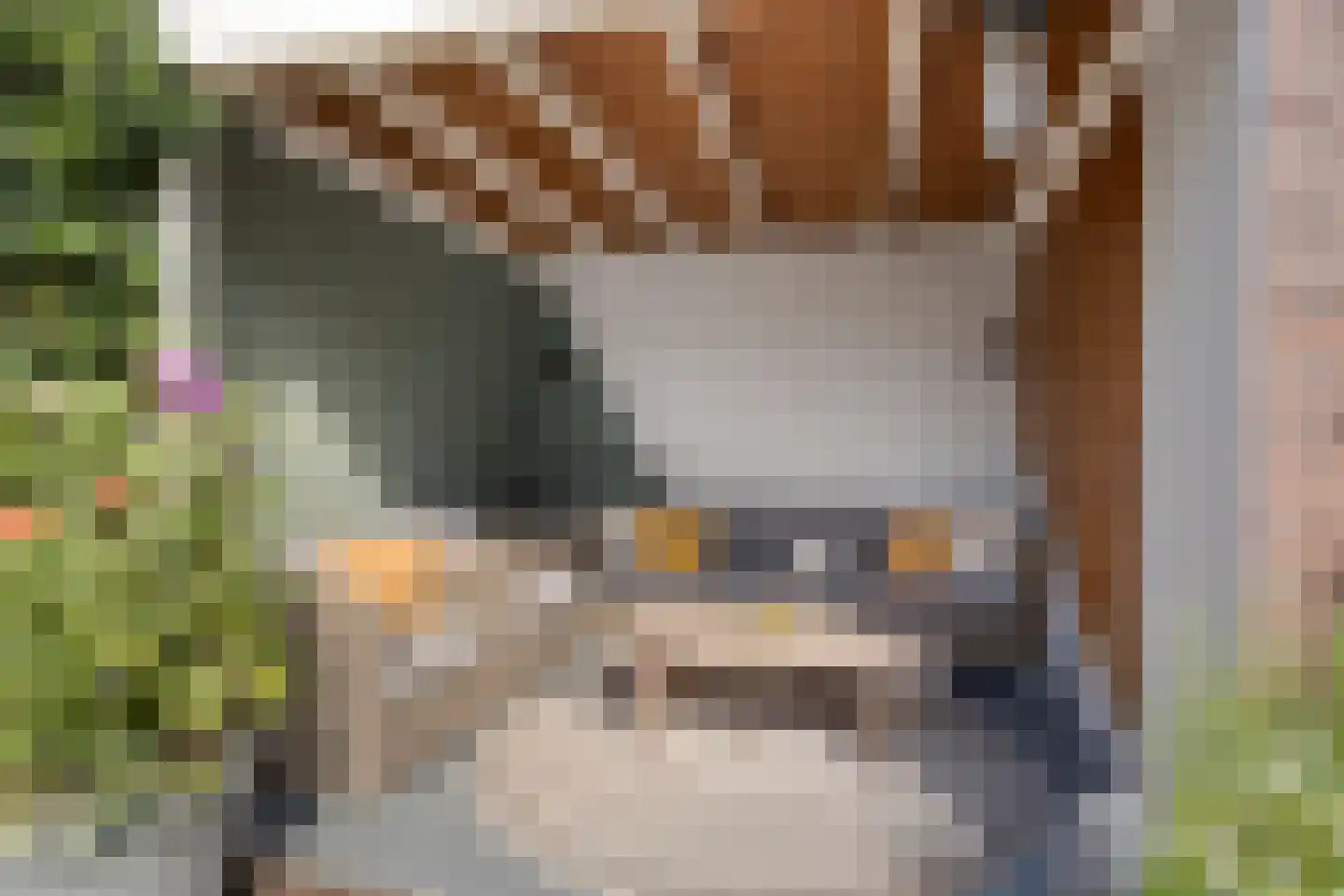 Kamperfoeliestraat 35 Hengelo thumbnail 4