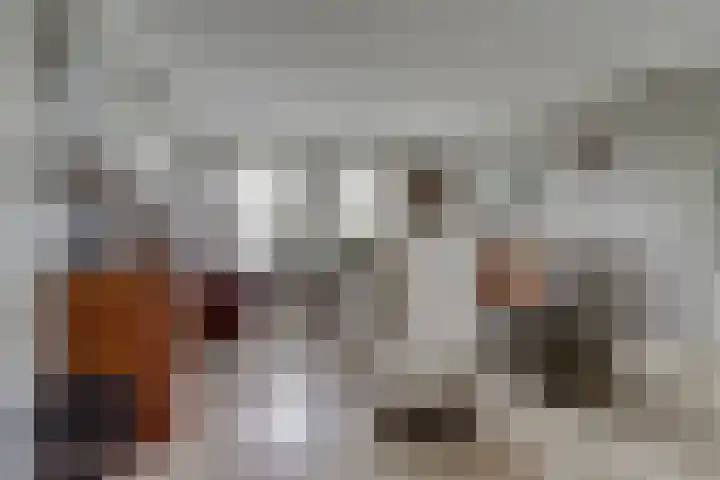 Kamperfoeliestraat 36 's-Gravenpolder thumbnail 15