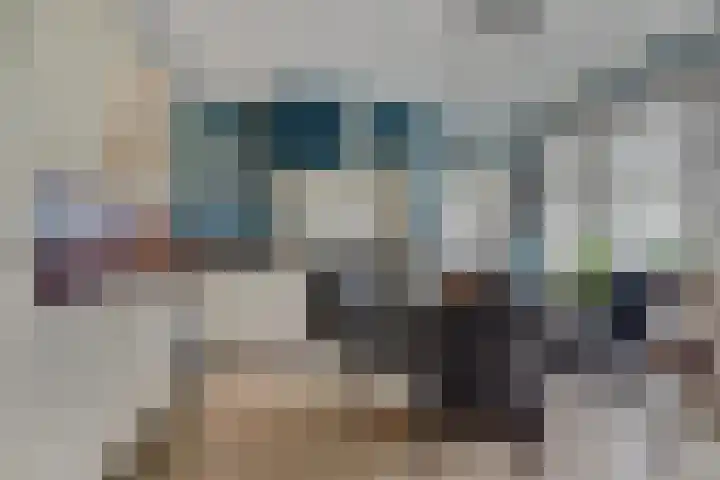 Kamperfoeliestraat 36 's-Gravenpolder thumbnail 16