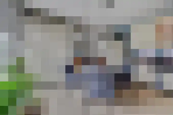 Kamperfoeliestraat 36 's-Gravenpolder thumbnail 18