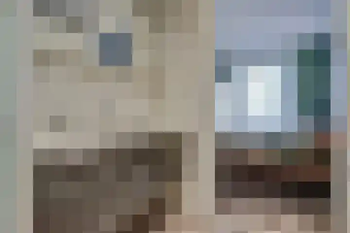 Kamperfoeliestraat 36 's-Gravenpolder thumbnail 22