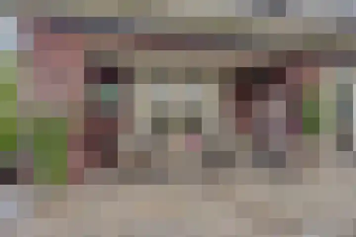 Kamperfoeliestraat 36 's-Gravenpolder thumbnail 38