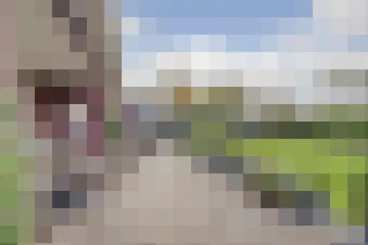 Kamperfoeliestraat 36 's-Gravenpolder thumbnail 39