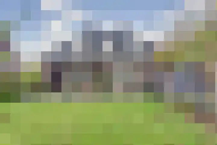Kamperfoeliestraat 36 's-Gravenpolder thumbnail 40