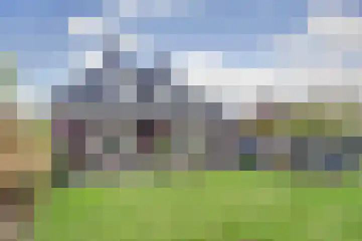 Kamperfoeliestraat 36 's-Gravenpolder thumbnail 41