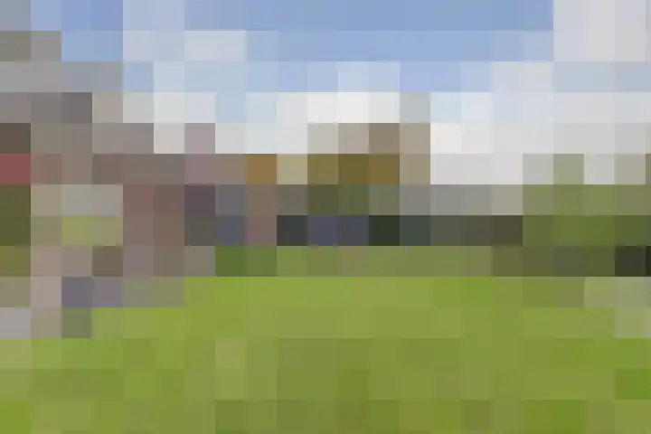 Kamperfoeliestraat 36 's-Gravenpolder thumbnail 42