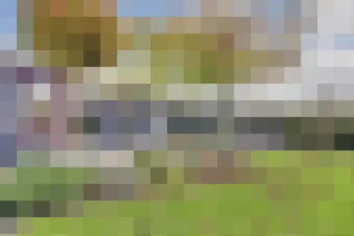 Kamperfoeliestraat 36 's-Gravenpolder thumbnail 43