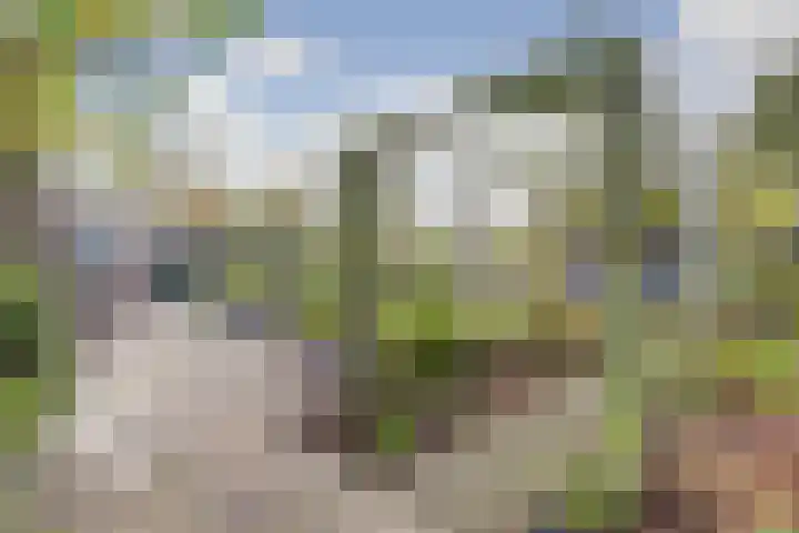 Kamperfoeliestraat 36 's-Gravenpolder thumbnail 46