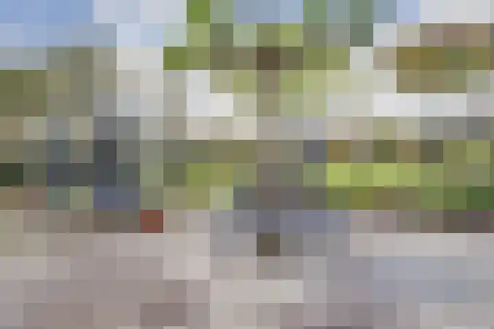 Kamperfoeliestraat 36 's-Gravenpolder thumbnail 47