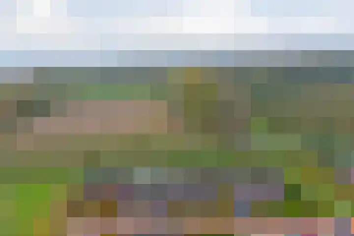 Kamperfoeliestraat 36 's-Gravenpolder thumbnail 49