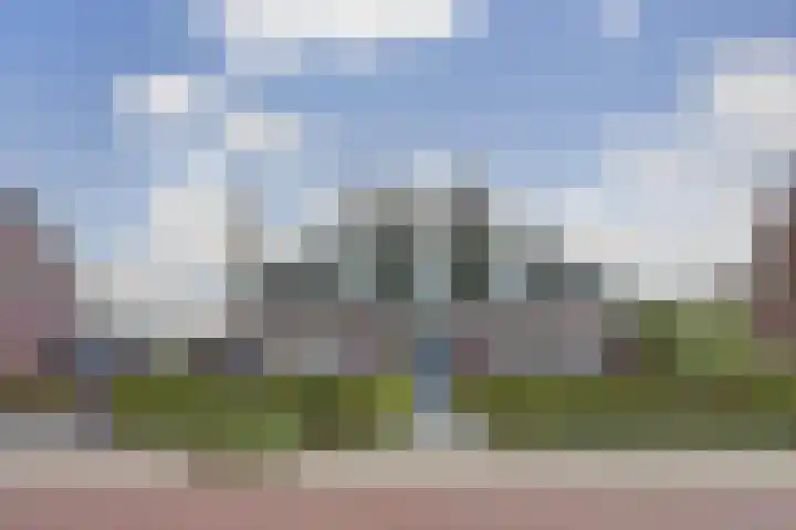 Kamperfoeliestraat 36 's-Gravenpolder thumbnail 5