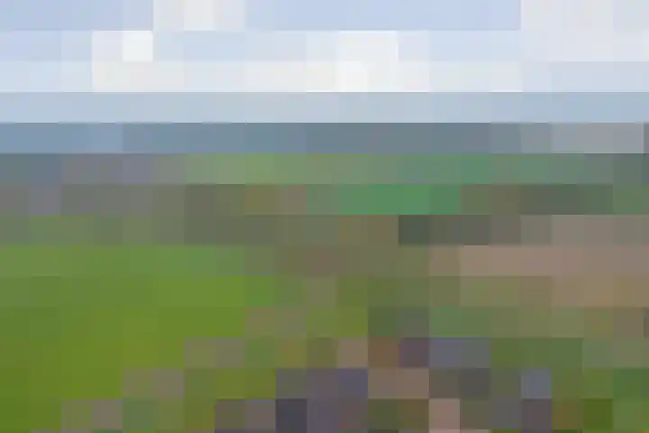 Kamperfoeliestraat 36 's-Gravenpolder thumbnail 50