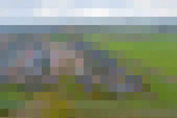 Kamperfoeliestraat 36 's-Gravenpolder thumbnail 51