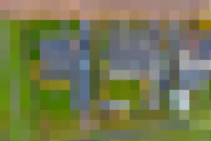 Kamperfoeliestraat 36 's-Gravenpolder thumbnail 53