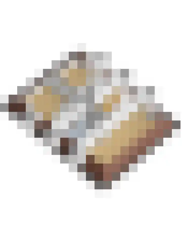Kamperfoeliestraat 36 's-Gravenpolder thumbnail 56
