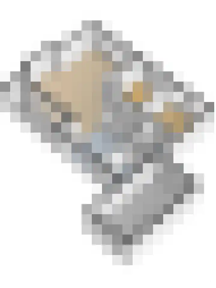 Kamperfoeliestraat 36 's-Gravenpolder thumbnail 58