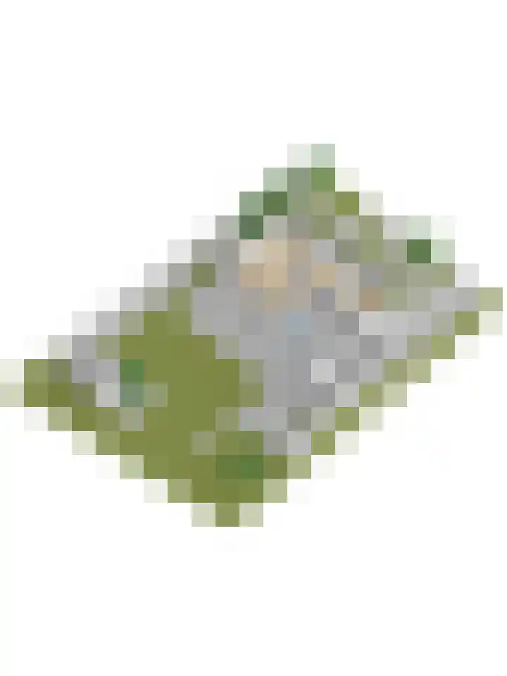 Kamperfoeliestraat 36 's-Gravenpolder thumbnail 59