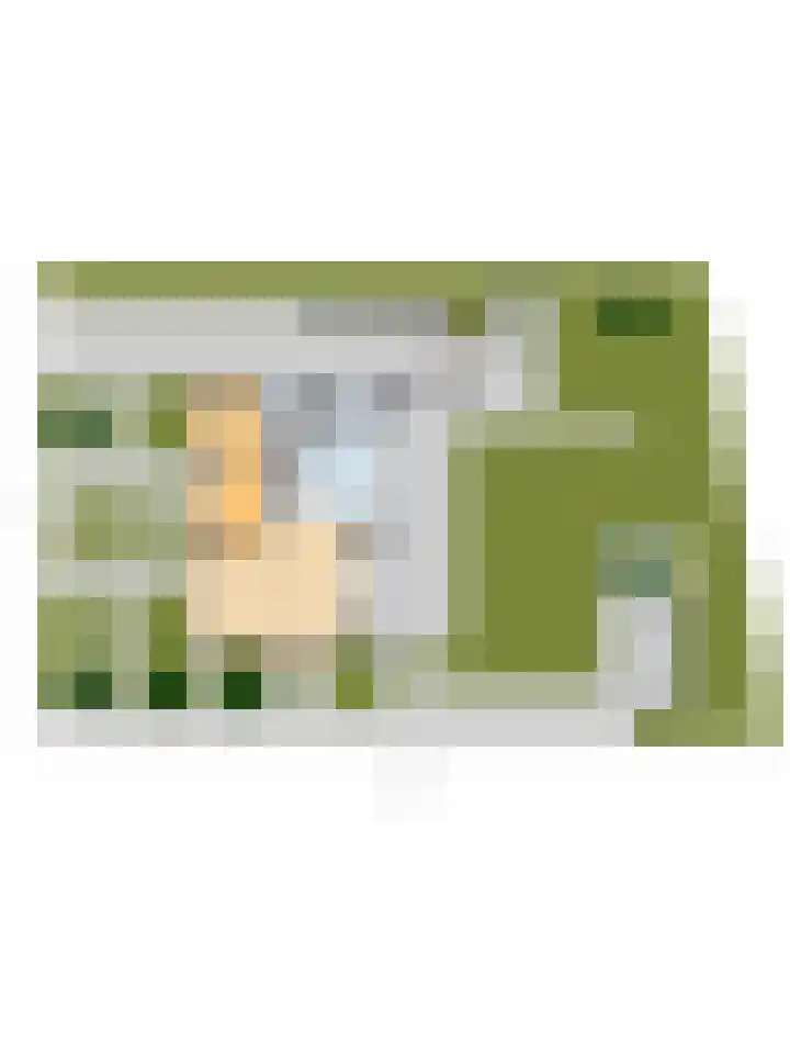 Kamperfoeliestraat 36 's-Gravenpolder thumbnail 64