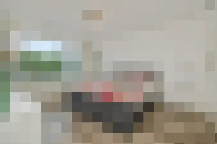 Kamperfoeliestraat 38 Rosmalen thumbnail 17